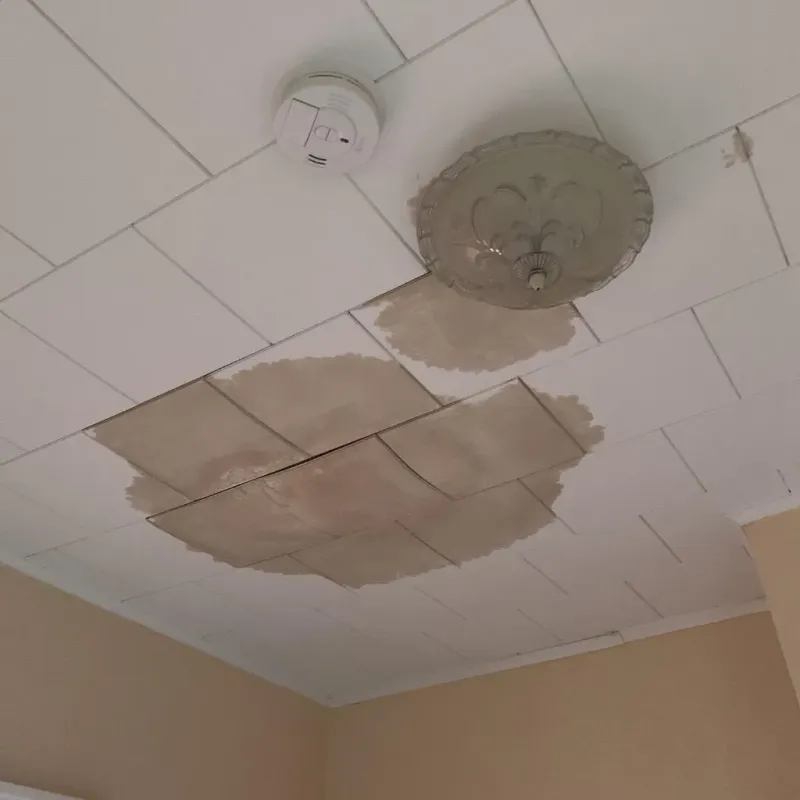 Ceiling Water Damage Repair in Wilson County, TN