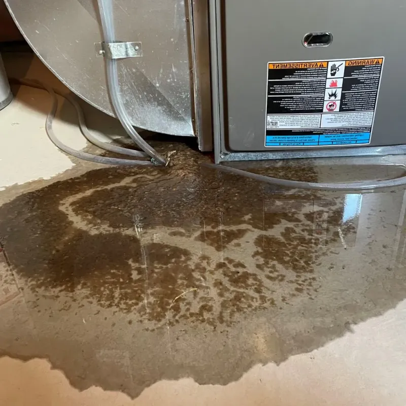 Pipe Burst and Leak Restoration in Wilson County, TN