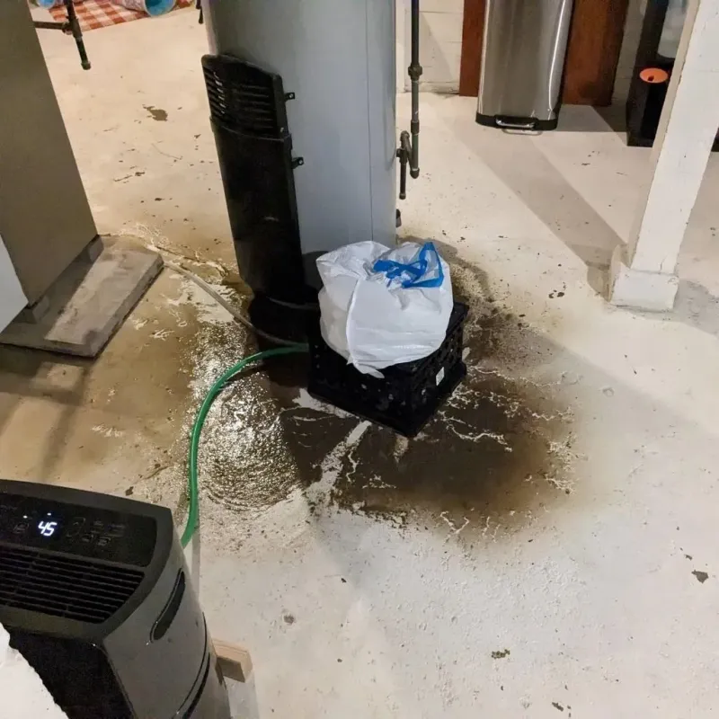 Sewage Backup Cleanup Service in Wilson County, TN